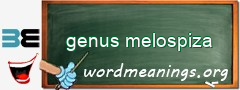 WordMeaning blackboard for genus melospiza